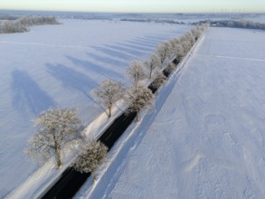 Landscape in winter with snow-covered fields and trees along a road, long shadows visible, aerial