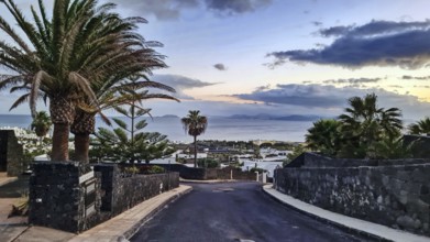 View of a road with palm trees leading to the sea, in the background the island of Fuerteventura at