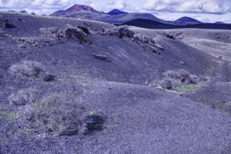 Volcanic landscape with barren hills and sparse plant growth under cloudy sky, Tinajo Lanzarote