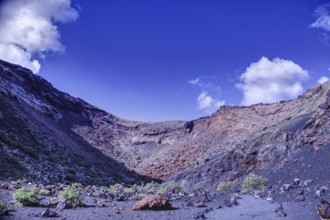 Impressive volcano crater with low vegetation under a blue sky, El Cuervo, Tinajo Lanzarote