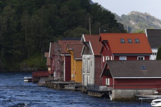 Historical wooden houses in a sleepy village by the river. Summer, Sireåna (Sireåna), Agder, Norway