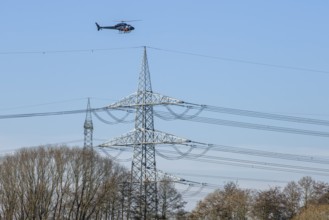 A helicopter flies over trees and power poles in a landscape during technical use, Lemförde, Lower