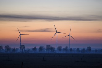 Three wind turbines at dusk with trees and a red blue sky, with trees as silhouettes, Hüde, Dümmer
