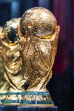The original FIFA World Cup 2026 Trophy is showcased for visitors during the official India leg of