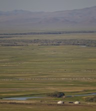 Yurts with large flock of sheep and horses in an extensive Mongolian steppe landscape with