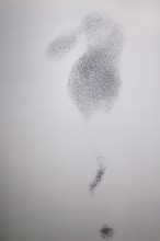 Starling (Sturnus vulgaris), huge flock of birds in formation flight of a so-called murmuration in