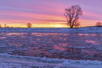 Cold winter morning on the Elbe with floating ice floes, snow and dawn at sunrise, Kötzschenbroda,
