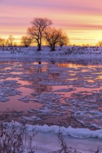 Cold winter morning on the Elbe with floating ice floes, snow and dawn at sunrise, Kötzschenbroda,