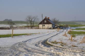 Winter with snow and green fields in Skåne county, South Sweden, Scandinavia
