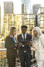 Three business colleagues from different generations and ethnicities reviewing data on a digital