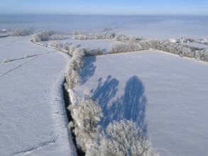 Winter peace with snow-covered fields and frosty trees under a clear blue sky, Fuhse river, Bülten,