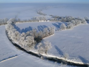 Snow-covered fields and trees in a quiet winter landscape with clear sky, Fuhse River, Bülten,