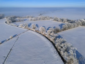 Wide winter landscape with snow-covered fields and frosty trees under a clear sky, Fuhse river,
