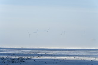 Snowy field with wind turbines in fog, wintry and quiet atmosphere, Bülten, Ilsede, Lower Saxony,