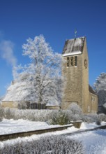 Church with snow-covered trees against a clear blue sky, winter scene, St. Mark's Church, snow,