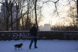 A walker with a dog runs on the Großer Bunkerberk with a view of the Berlin power plant in