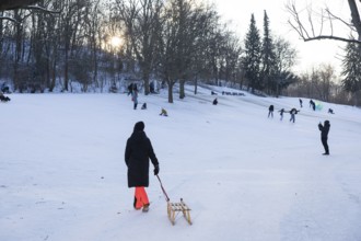 A woman pulls a sled in Volkspark Friedrichshain on 07.01.2026