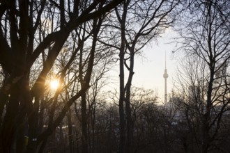 View of the Berlin TV Tower from Volkspark Friedrichshain on 07.01.2026