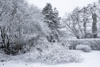 Winter garden landscape, Emsland, Lower Saxony, Germany