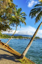 Boats anchored off the coast of Ilhabela on the north coast of Sao Paulo, Ilhabela, Sao Paulo,