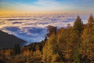 Aerial view, view from Königstuhl Heidelberg in evening light with Indian summer over autumnal fog