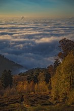 Aerial view, view from Königstuhl Heidelberg in evening light with Indian summer over autumnal fog