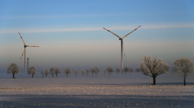 Wind turbines and snow-covered trees in a clear winter landscape, wind turbines between Solschen