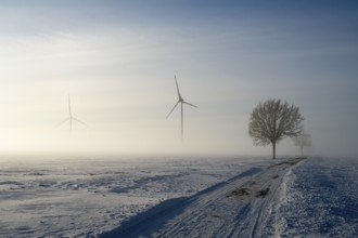 Snow-covered landscape in fog with wind turbines and a tree under a blue sky, wind turbine and tree