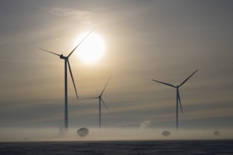Wind turbines stand in fog under a dramatic sky at sunset, wind turbines between Solschen and