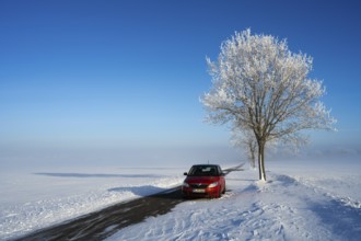 Red car parked next to a snow-covered tree on a lonely road under bright blue sky, Skoda Fabia and