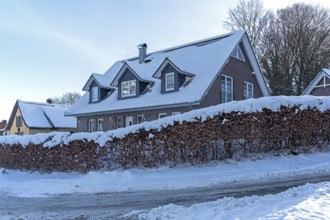 Snowy hedge, road, houses, winter, snow, Sieversen, Samtgemeinde Rosengarten, Lower Saxony, Germany