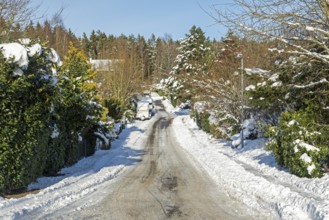 Snowy road, trees, winter, snow, Sieversen, Samtgemeinde Rosengarten, Lower Saxony, Germany