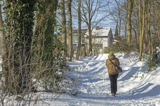 Man walking in snow, snowy path, trees, winter, Sieversen, Samtgemeinde Rosengarten, Lower Saxony,