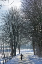 Man walking in snow, snowy road, trees, winter, Sieversen, Samtgemeinde Rosengarten, Lower Saxony,