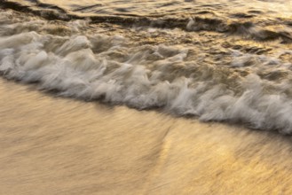 Waves at sunset on the west beach of Fischland-Darß-Zingst, Baltic Sea, Ahrenshoop,