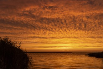 Zingst, Mecklenburg-Western Pomerania, Germany