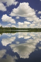 Cumulus clouds over Ahlhorn fish ponds, Ahlhorn, Lower Saxony, Germany