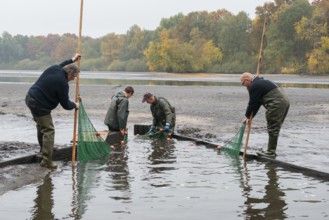 Fishing in the Ahlhorner Fischteiche pond farm, Ahlhorn, Lower Saxony, Germany