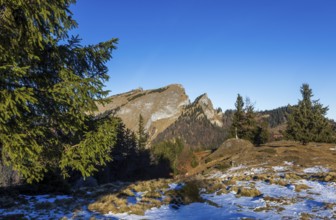 Sankt Wolfgang, Vormaueralm with Schafberg, Osterhorn Group, Salzkammergut, Upper Austria, Austria