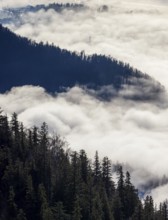 View of a sea of fog from Vormauerstein, Strobl am Wolfgangsee, church tower sticking out of the