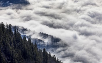 View from Vormauerstein of a sea of fog on Lake Wolfgang, inversion weather, Osterhorn Group,