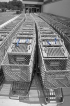 Shopping trolleys pushed together in front of a supermarket, black and white, Newton, New Jersey,