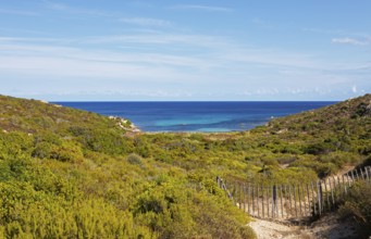 Coast at Punta de la Revellata, Calvi, Haute Corse Department, Corsica, France