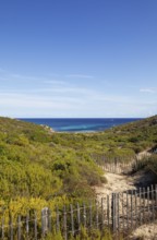 Coast at Punta de la Revellata, Calvi, Haute Corse Department, Corsica, France