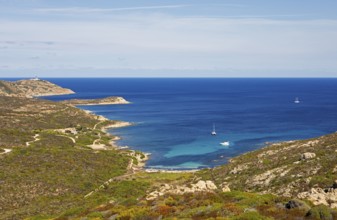 Coast at Punta de la Revellata, behind the lighthouse, Calvi, Haute Corse Department, Corsica,
