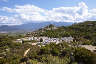 Calvi Cemetery, Haute Corse Department, Corsica, France