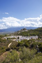 Calvi Cemetery, Haute Corse Department, Corsica, France