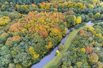 Hunte in autumn Barneführer wood, forest, autumn colors, Westerburg, Wardenburg, Lower Saxony,