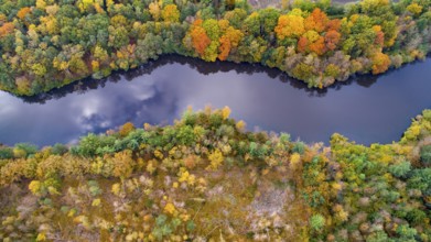 Autumn forest at the Ahlhorn fish ponds, Ahlhorn, Großenkneten, Lower Saxony, Germany