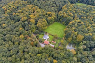 Aerial view of a beautifully coloured forest, nature reserve, forester's lodge, Herrenholz,